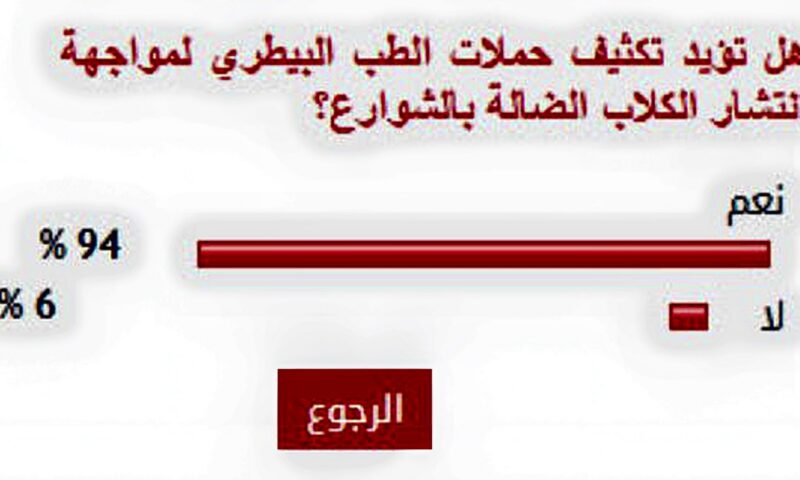 %94 من القراء يؤيدون تكثيف حملات الطب البيطري لمواجهة انتشار الكلاب الضالة بالشوارع