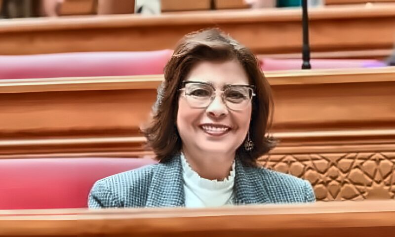 تضامن النواب تناقش خطة عملها.. ومرصد للأثر التشريعى لمتابعة تنفيذ القوانين