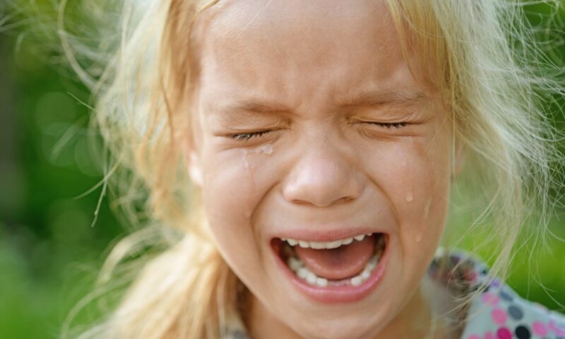 Stop the meltdowns!