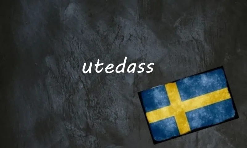 Swedish word of the day: Utedass
