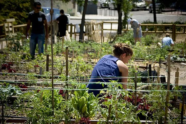How to get involved with urban gardens in Spain