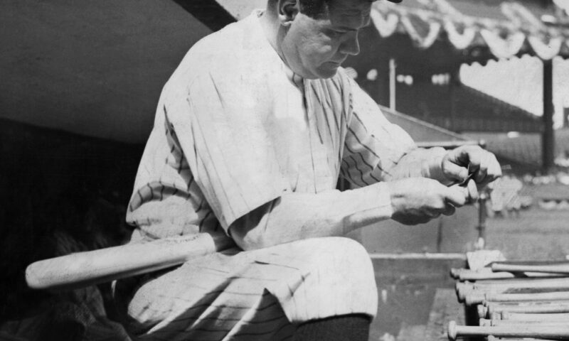 How the Emerald Ash Borer Took Ash Bats Out of Major League Baseball
