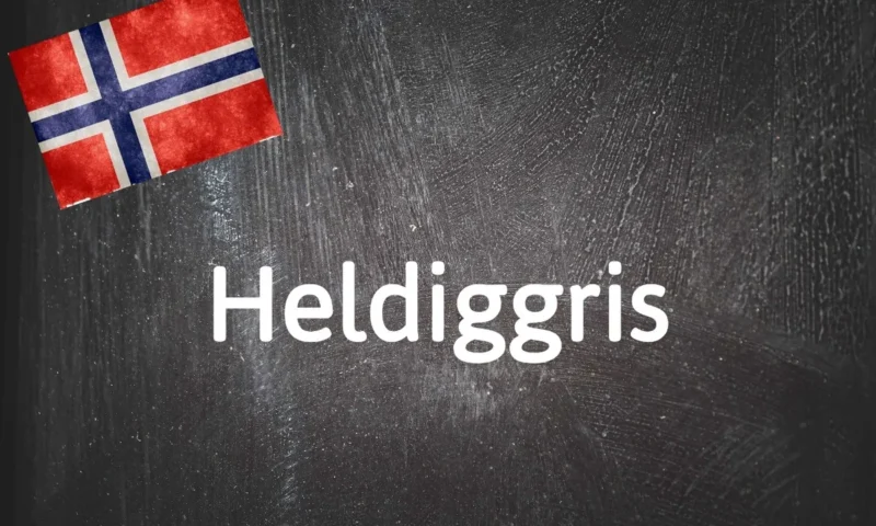 Norwegian word of the day: Heldiggris