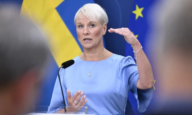 Swedish government to slash welfare payments to large families