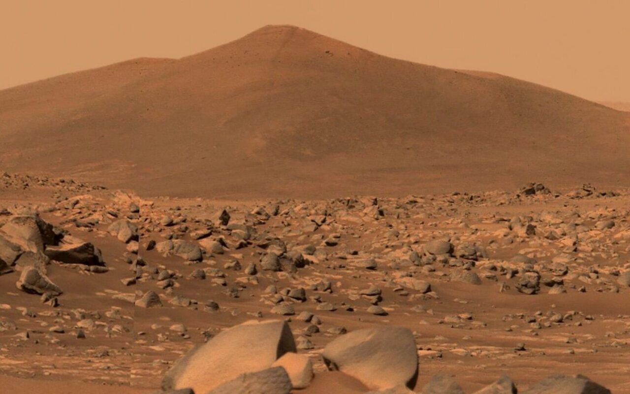 Could an Earthly Fungus Contaminate Mars? NASA May Have Found One Hardy Enough.
