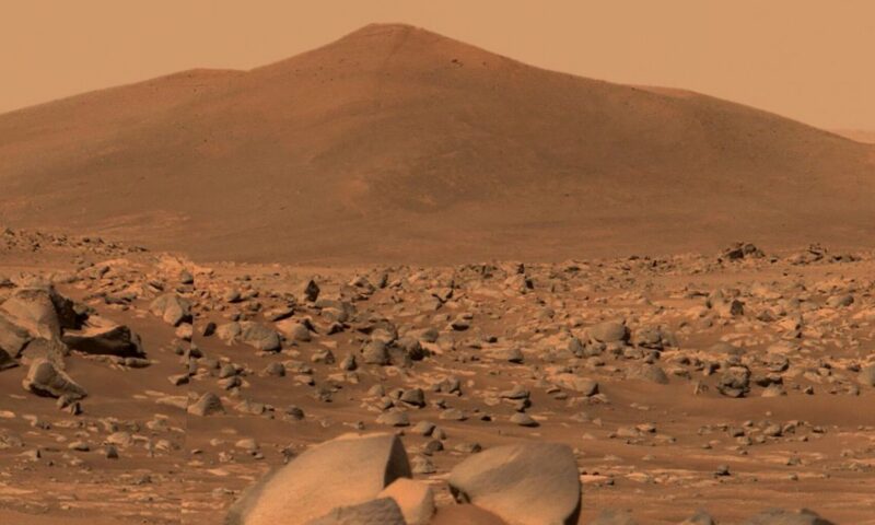 Could an Earthly Fungus Contaminate Mars? NASA May Have Found One Hardy Enough.