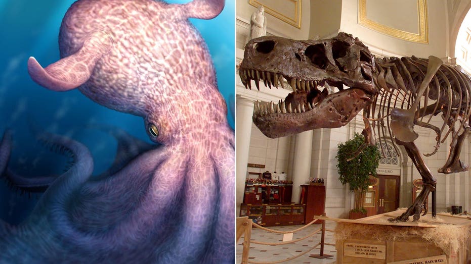 ‘Gigantic’ ancient octopus used jaws to crush prey and hunted alongside the dinosaurs 100M years ago: study