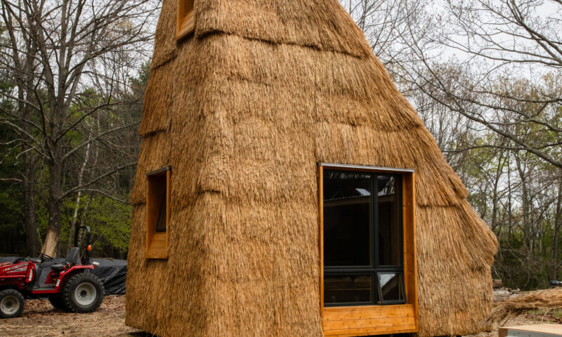 Beware of Wolves, but Straw Houses Could Help With Climate Change