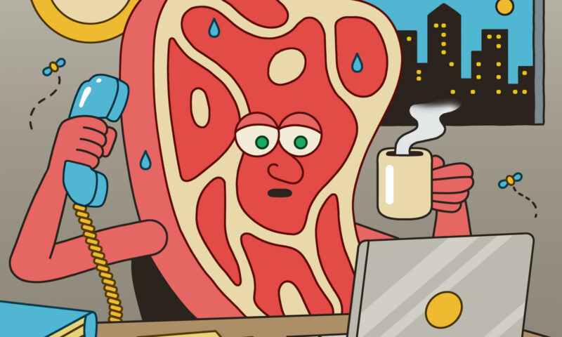 To A.I. Executives, We’re All Just ‘Meat Computers’