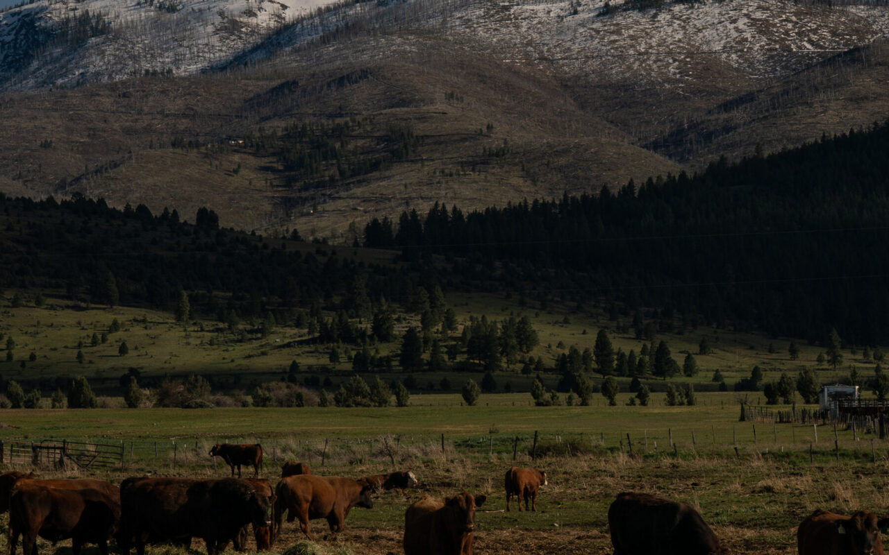Oregon Prepares for a Challenging Summer of Water Shortages and High Fire Risk