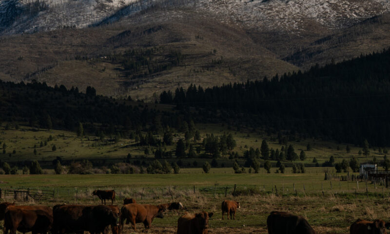 Oregon Prepares for a Challenging Summer of Water Shortages and High Fire Risk