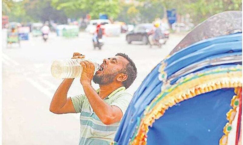 One-third of Dhaka’s rickshaw pullers at extreme heat risk