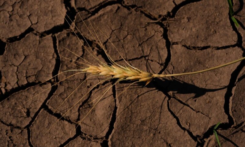 Earth is hot and getting hotter: UN warns next 5 years likely to smash records