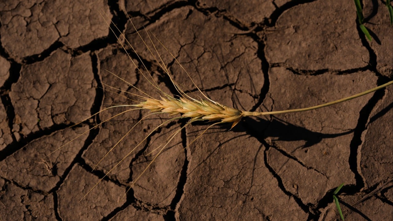 Earth is hot and getting hotter: UN warns next 5 years likely to smash records