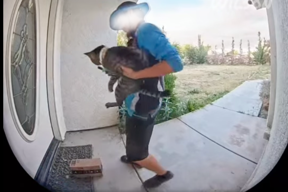 Shocking doorcam video shows the moment Amazon driver takes pet cat – leaving family in ‘utter disbelief’