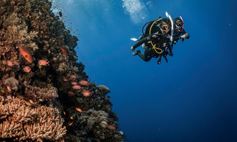 How India’s divers turned ocean encounters into conservation action with the help of PADI’s Go Eco Month