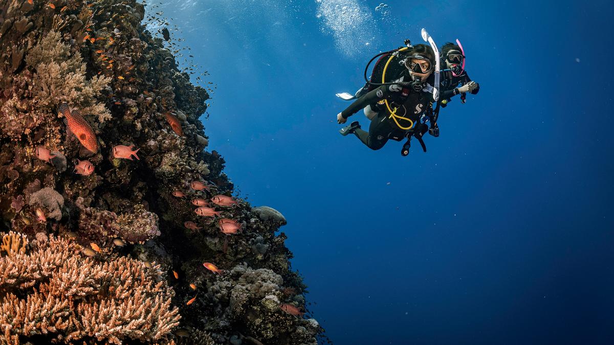 How India’s divers turned ocean encounters into conservation action with the help of PADI’s Go Eco Month