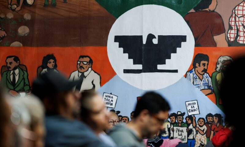 Members of pro-immigration group hit by Trump crackdown on immigration