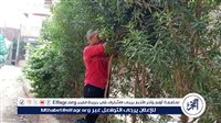 محافظ أسيوط: استمرار تركيب الأكواد التعريفية لأشجار مبادرة 100 مليون شجرة