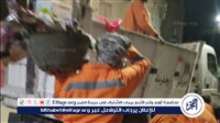 محافظ أسيوط: حملات نظافة مكثفة لرفع المخلفات بمركز البداري