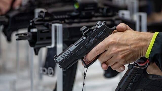 Czechia Sticks to its Guns with Timid Reform of Ownership Rules