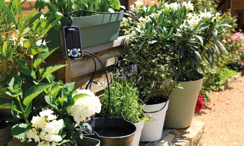 Watering aids to help you through the drier months