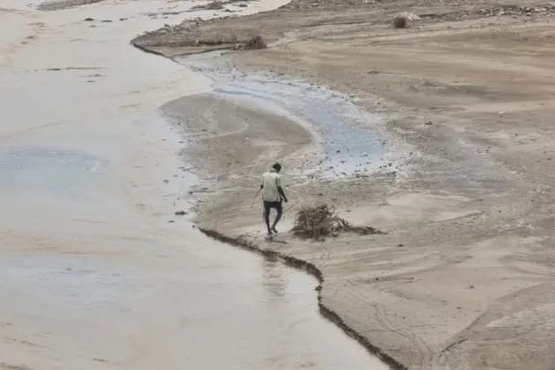 مبادرات أممية تدعم الزراعة اليمنية وتحد من الجفاف