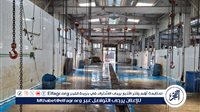 محافظ الغربية: تشغيل 18 مجزرًا بالمجان وحظر الذبح بالشوارع خلال العيد