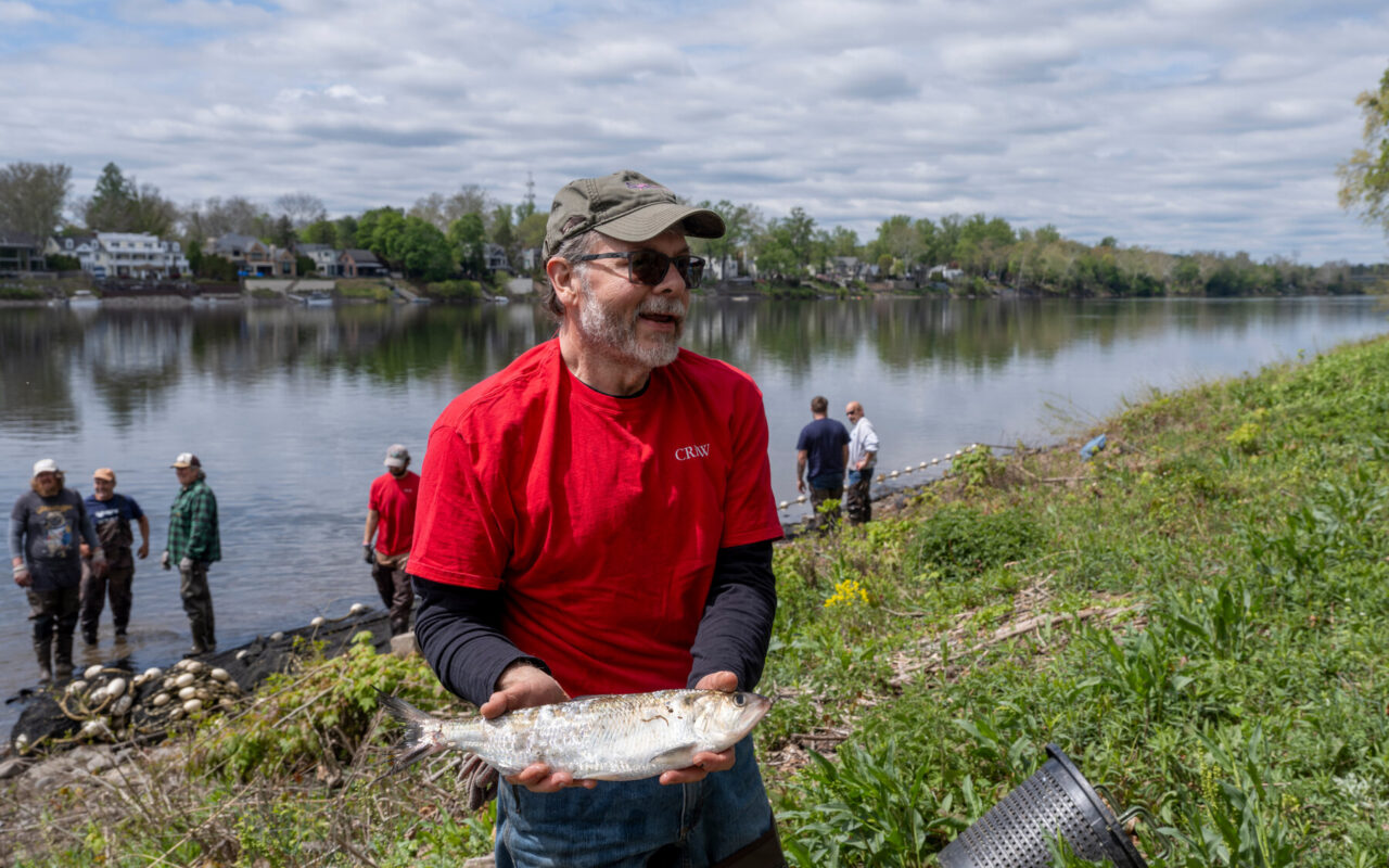 A Fish, Yes, but Also a Forgotten American Hero