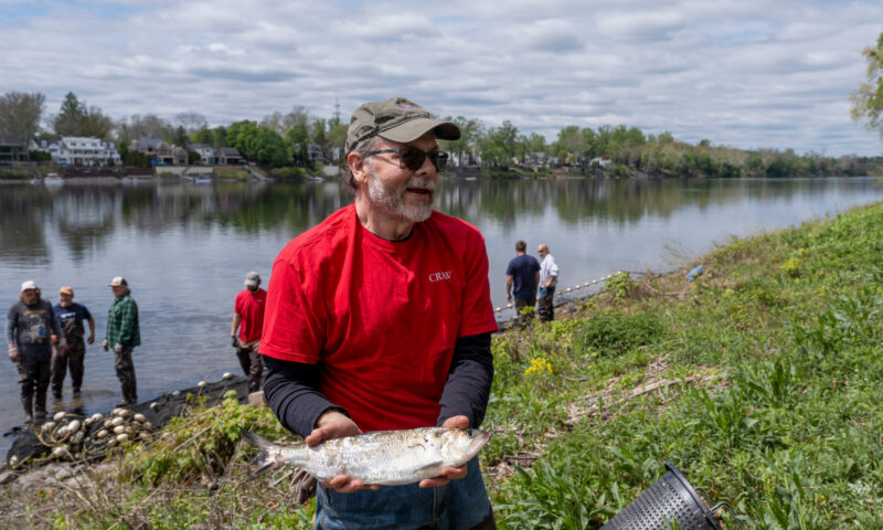 A Fish, Yes, but Also a Forgotten American Hero