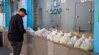 الزراعة: فحص أكثر من 2500 عينة بمعمل متبقيات المبيدات خلال عيد الأضحى