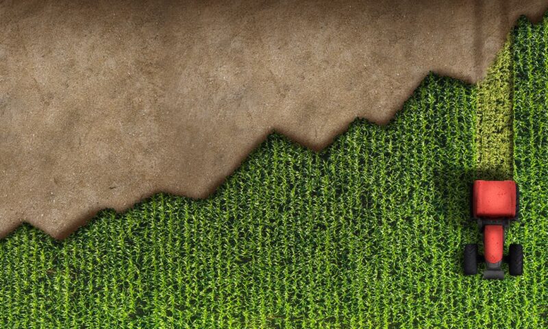Farmers growing increasingly desperate amid rising energy and fertilizer prices