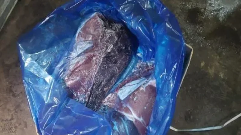سوسة: حجز كبدة مبردة مستوردة من نيوزلاندا داخل مخزن عشوائي