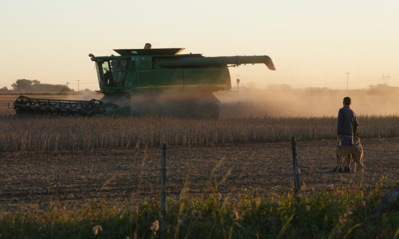 US farmers seek firmer soybean guarantees despite Xi-Trump agriculture pledge