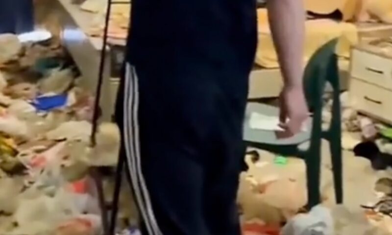 ‘Smells like hell’: Chinese woman disappears owing rent, abandons pet dog in filthy flat