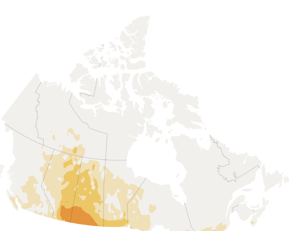 Heat Wave Hits Canada With Warnings in Alberta, Manitoba and Saskatchewan