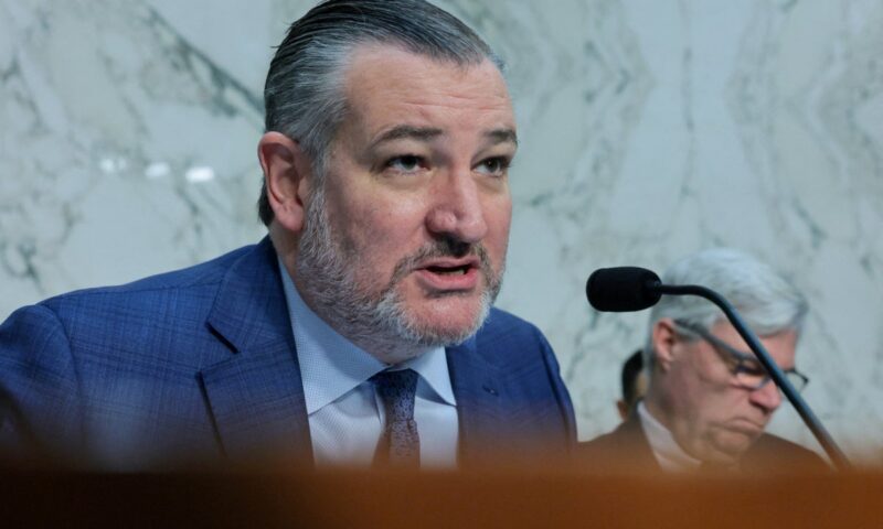 Ted Cruz shreds MAGA influencer defending Trump’s Iran deal: ‘Hush, child!’