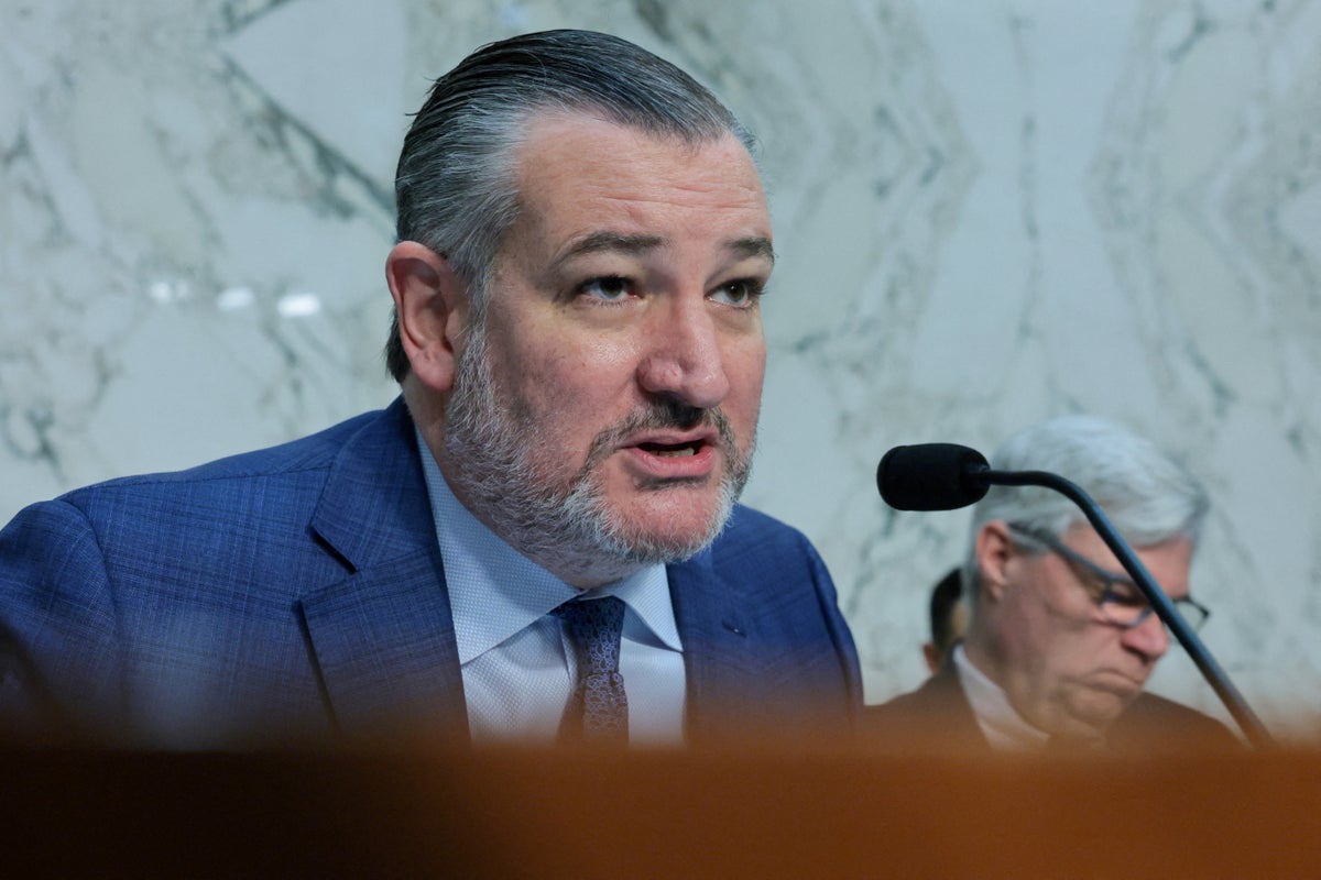 Ted Cruz shreds MAGA influencer defending Trump’s Iran deal: ‘Hush, child!’
