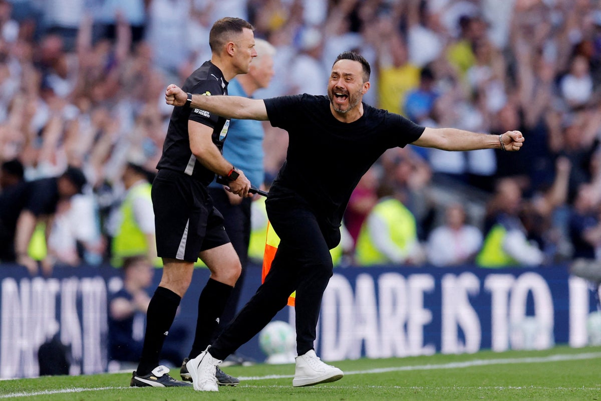 Tottenham revel in survival – but now they must learn the lessons of a nightmare season