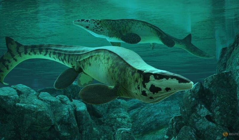 Fearsome dinosaur-era marine reptile was the T. rex of the sea