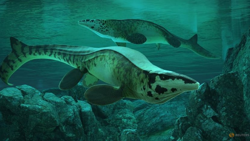 Fearsome dinosaur-era marine reptile was the T. rex of the sea