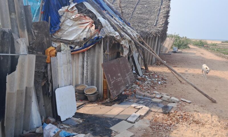 Reptiles, rodents, and debris make life difficult for Kalakshetra Colony residents