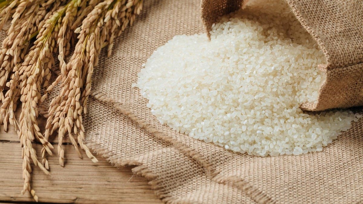 كوبا تتلقى شحنة أرز أولى هبة من الصين