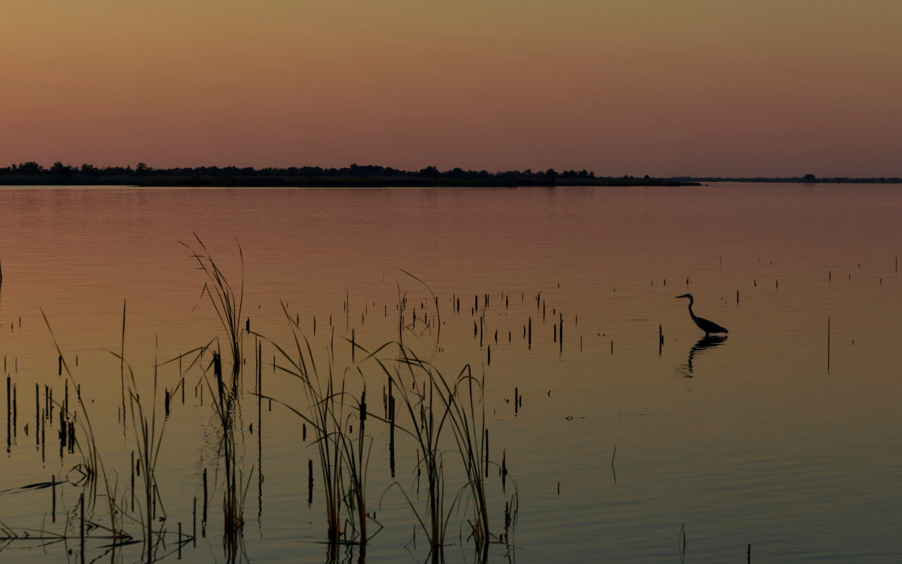 Ghosts of the Gulf Coast: The Unsung Revolutionary War Campaign