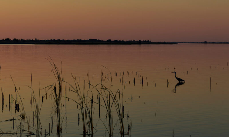 Ghosts of the Gulf Coast: The Unsung Revolutionary War Campaign