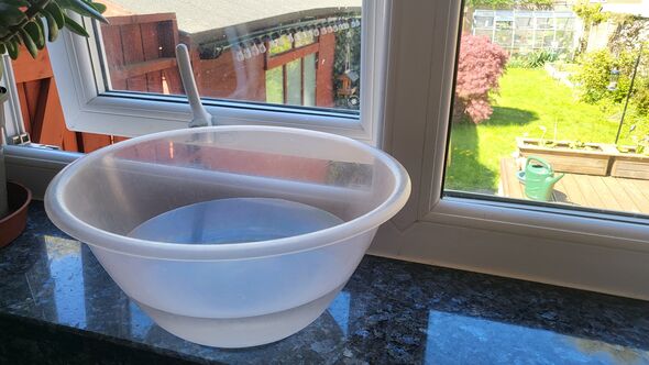 Households urged to put bowls of water on windowsills on Monday