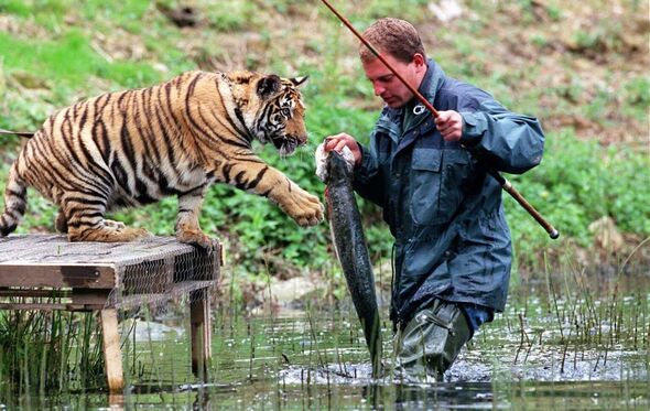 Incredible UK zoo open in 1947 closed forever – £3.5million in debt