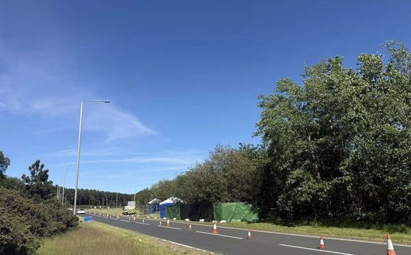 Human skeletal remains found in UK woods as police issue update