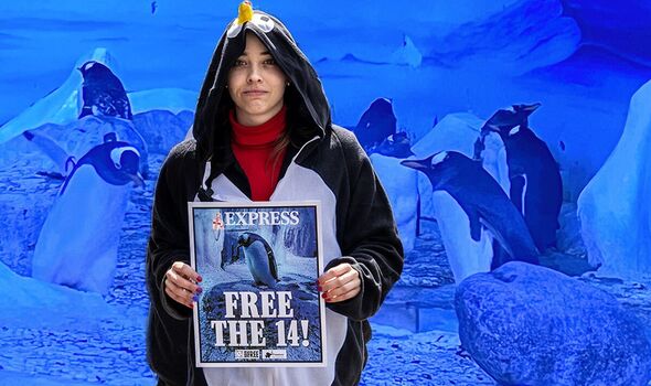 Celebrities heap praise on the Daily Express for its ‘significant win’ in penguin crusade