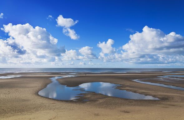 Woman died after attempting to save dog from drowning in sea